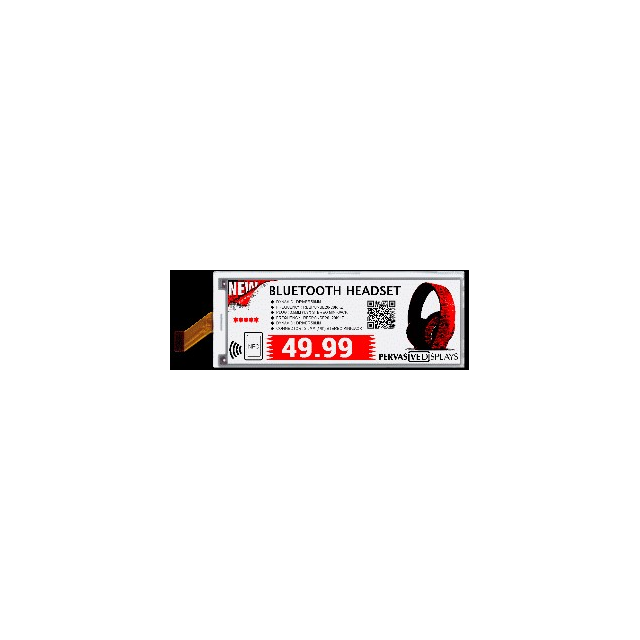 Pervasive Displays E2581JS0B1